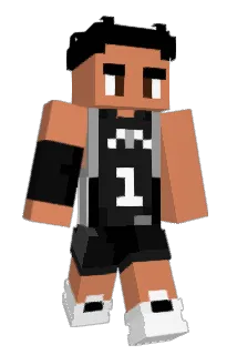stighn Minecraft avatar full body