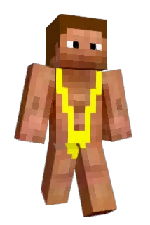 stijnator Minecraft avatar full body