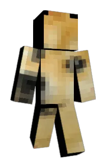stijnkostermann Minecraft avatar full body