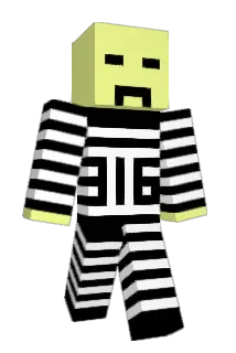 stijnmuin Minecraft avatar full body