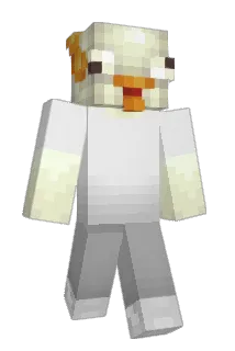 stik Minecraft avatar full body