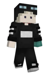 stillfeedin Minecraft avatar full body