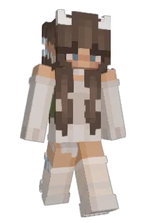 stinkalinka Minecraft avatar full body
