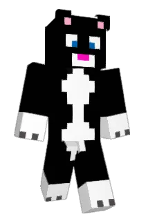 stinkycat123 Minecraft avatar full body