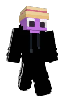 stirZ888 Minecraft avatar full body