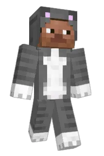 stndtdth Minecraft avatar full body