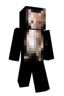stockente1 Minecraft avatar full body