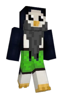 stoefoe Minecraft avatar full body