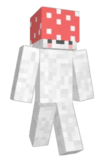 stoopena Minecraft avatar full body