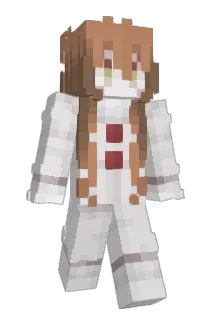 stoptrolling Minecraft avatar full body