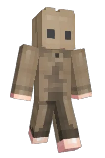 stpbs Minecraft avatar full body