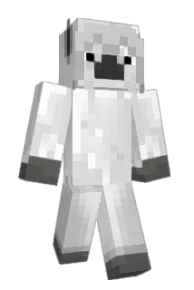 stphniehghs Minecraft avatar full body