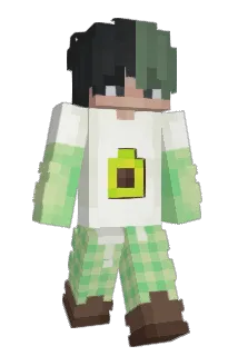 straet900 Minecraft avatar full body