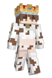 strangerdanger66 Minecraft avatar full body