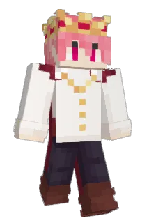 strawhatbuck Minecraft avatar full body
