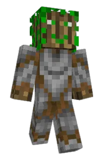 stromdu26 Minecraft avatar full body