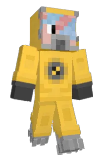 strong200 Minecraft avatar full body