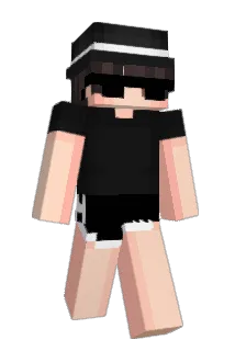 stspjl Minecraft avatar full body
