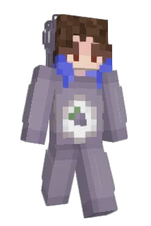 stupidfart69 Minecraft avatar full body