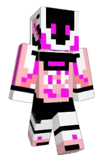 stupidpro Minecraft avatar full body