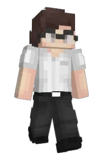 stxphen Minecraft avatar full body