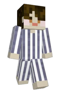 subinnl Minecraft avatar full body