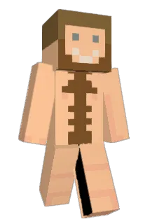 sublemons Minecraft avatar full body