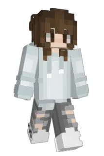 subnadir Minecraft avatar full body