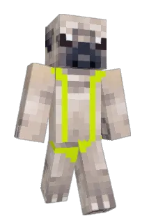 succbutt Minecraft avatar full body
