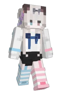 succtor Minecraft avatar full body