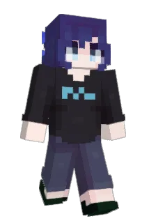 sucornA Minecraft avatar full body