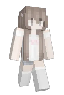 suivie Minecraft avatar full body