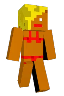 sundli_0 Minecraft avatar full body
