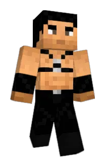 sung021018 Minecraft avatar full body