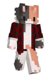sunny2042 Minecraft avatar full body