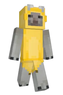 sunyeong_ Minecraft avatar full body