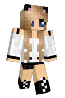 supadude100 Minecraft avatar full body