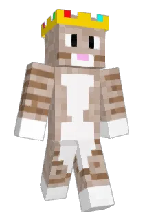 supercatD Minecraft avatar full body