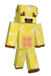 supermarts Minecraft avatar full body
