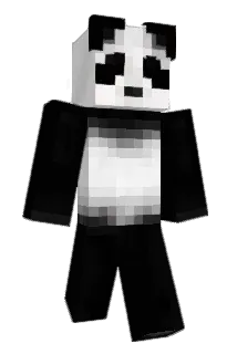 supernickje Minecraft avatar full body