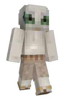 supershopper Minecraft avatar full body