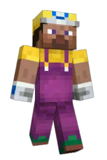 superwariogalaxy Minecraft avatar full body