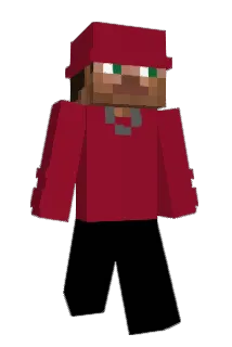 suprising Minecraft avatar full body