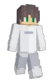surbex Minecraft avatar full body