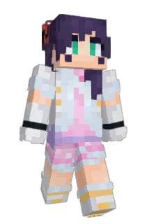 surely419 Minecraft avatar full body