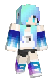 surf18 Minecraft avatar full body