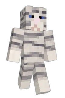 surprisedonkey6 Minecraft avatar full body