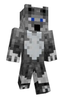 surviveguy200 Minecraft avatar full body