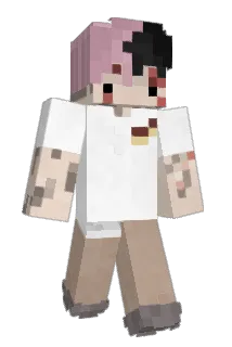 susboiflo Minecraft avatar full body