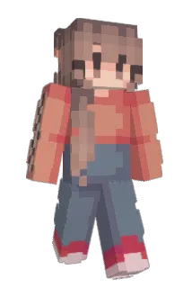 sushidonkey Minecraft avatar full body